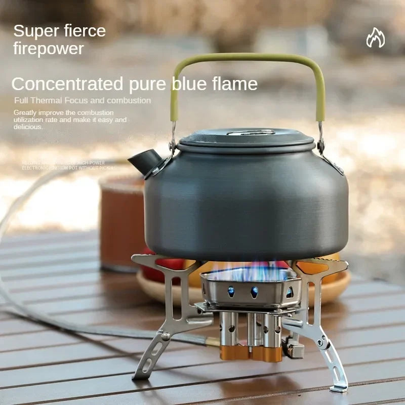 Portable Gas Stove